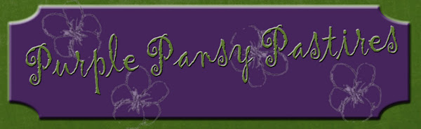 Purple Pansy Pastries