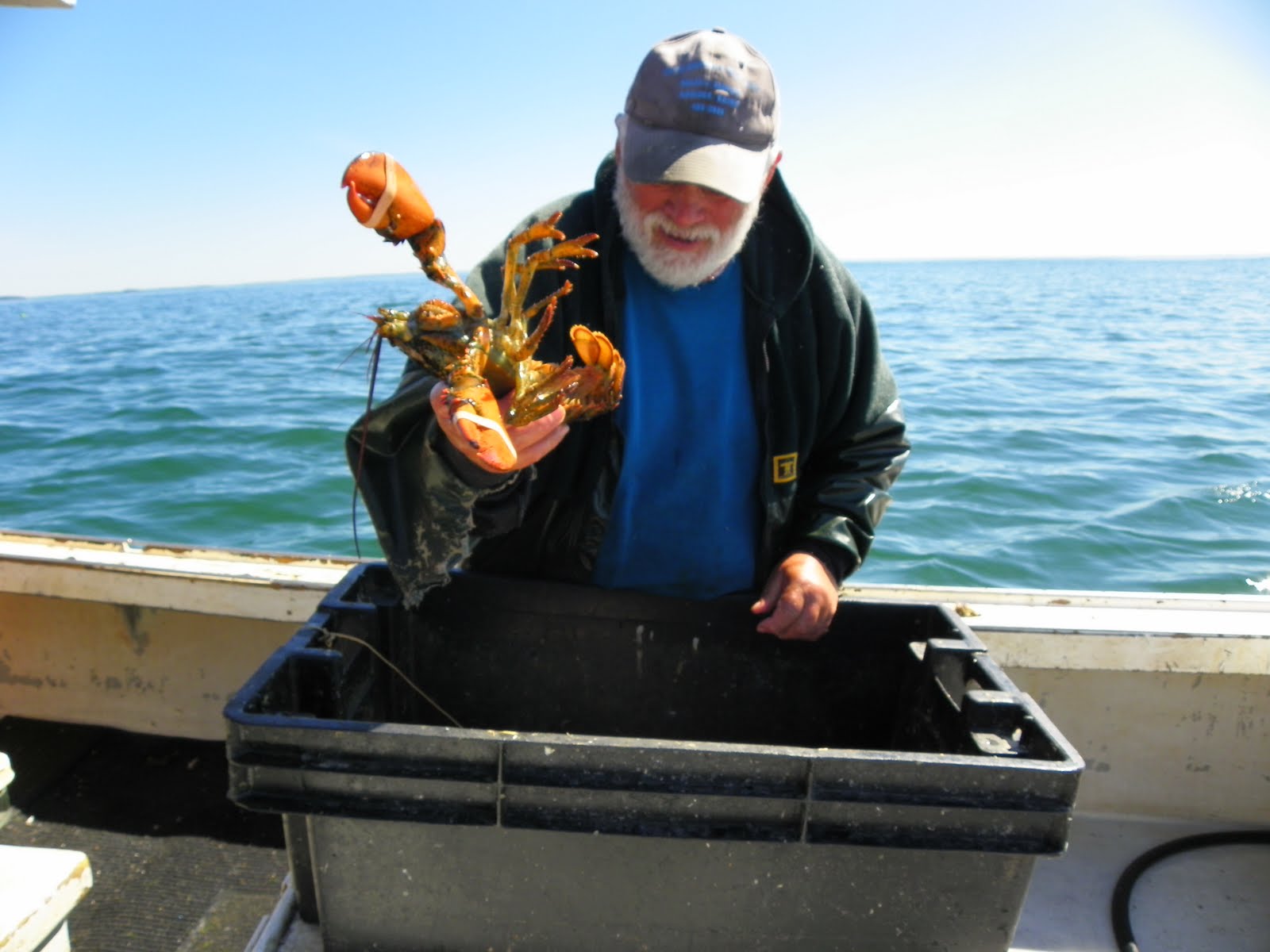 The Adventures of Joshua and Tilley Jonesport Lobster Fishing, Part 6 (Friday, June 11, 2010)