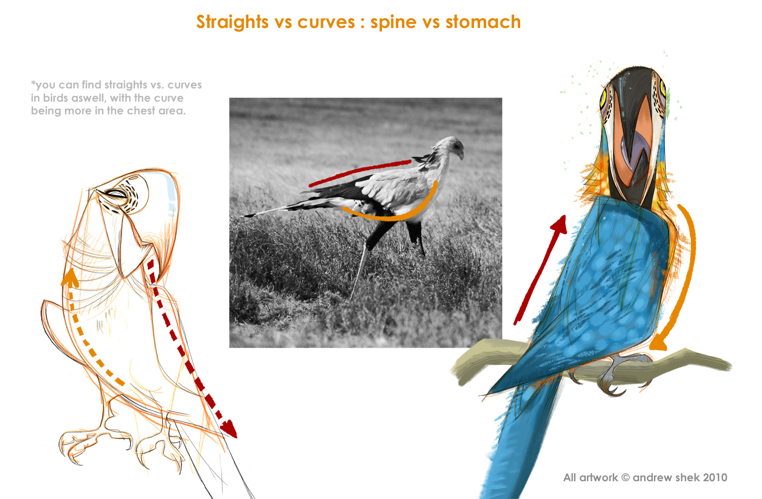 [Andrew_Shek_lesson1_004.jpg]