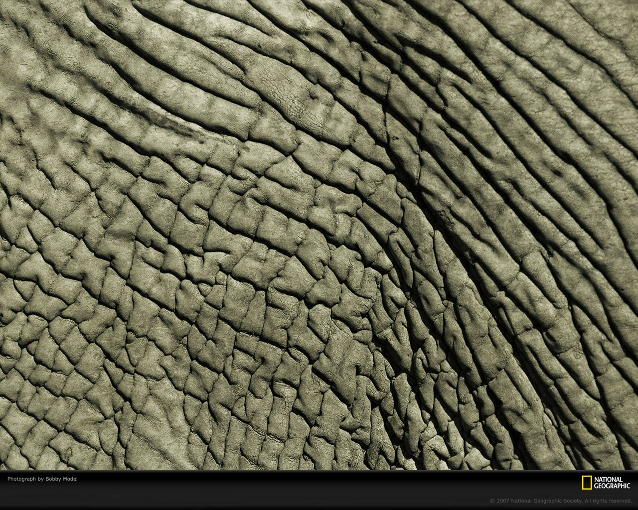 onanimaskin onanimaskin
