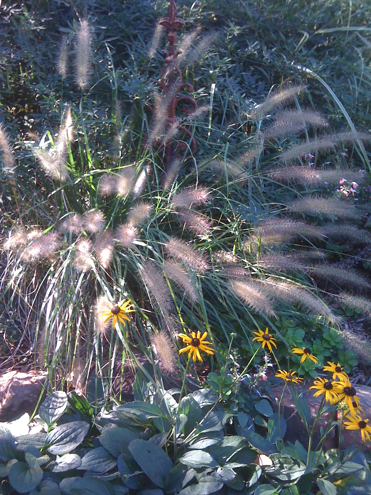 Signature Gardens: What&rsquo;s Bloomin&rsquo; - November &lsquo;10