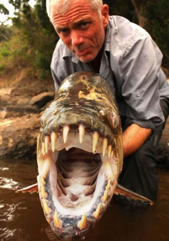 Most Dangerous Fish DealKeren