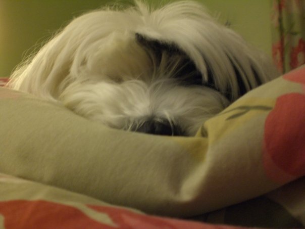 soul mate test date of birth