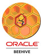 Oracle Beehive