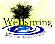 What Is Wellspring??