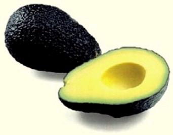 [aguacate.JPG]