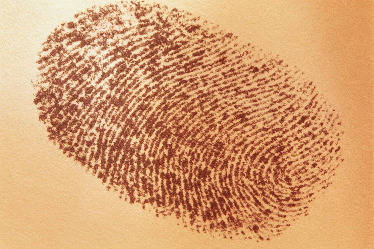 God's Fingerprints