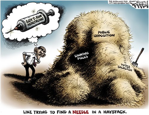 [Cartoon+-+Needle+in+a+Haystack+(500).jpg]