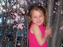 Fallon spring 2004