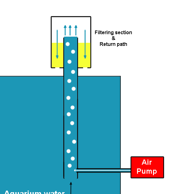 Darko's Aquarium DIY Automatic Gravel Vacuum Cleaner