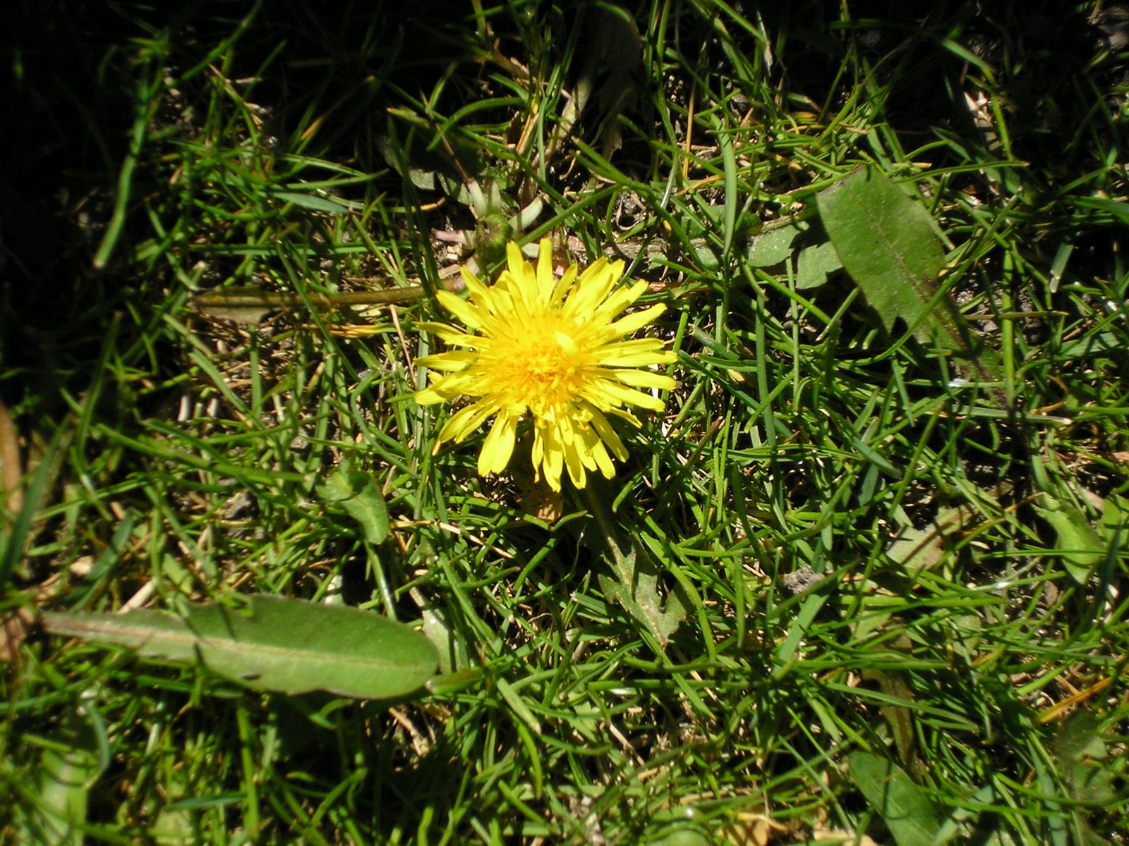 [P4050638.JPG]