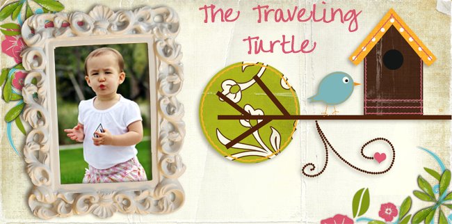 Traveling Turtle