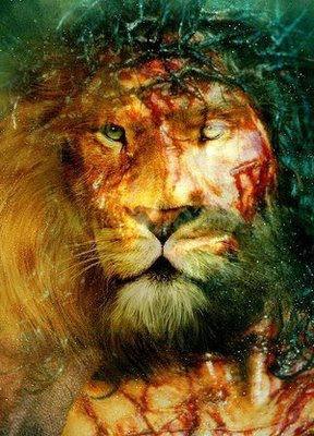 ASLAN É JESUS CRISTO! AS CRÔNICAS DE NÁRNIA #quesitonerd #narnia #aslan  #jesus 