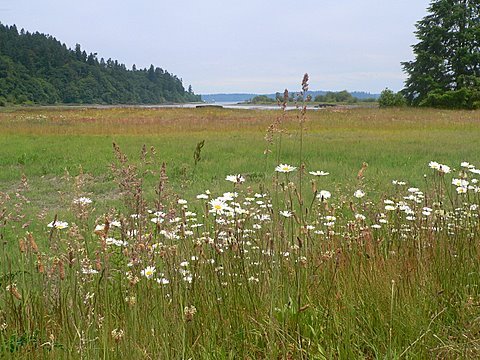 [hike1]