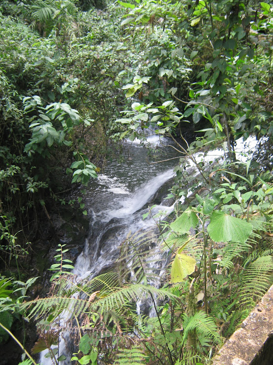 Sendero ecologico Santa Rosa de Cabal
