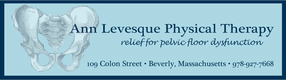 Ann Levesque Physical Therapy