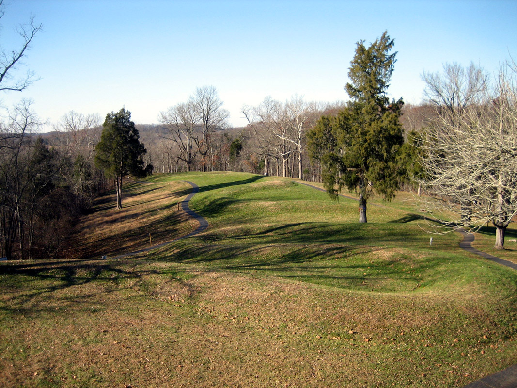 "Picture of indian mounds found in sc", "moundsville daily echo website"