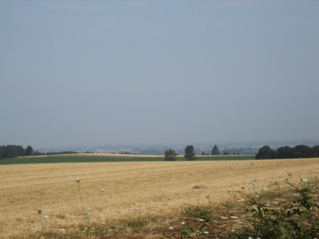 [IMG_0366.JPG]
