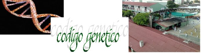 Codigo Genetico