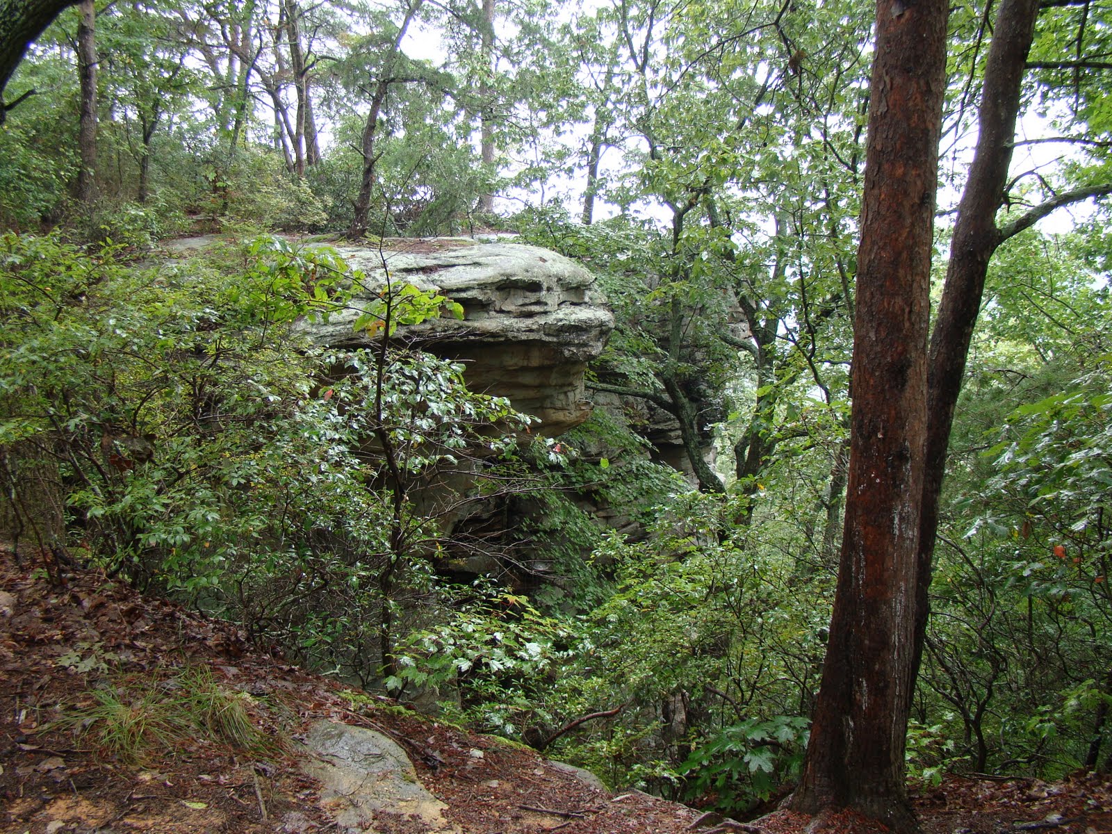 [DSC01805.JPG]