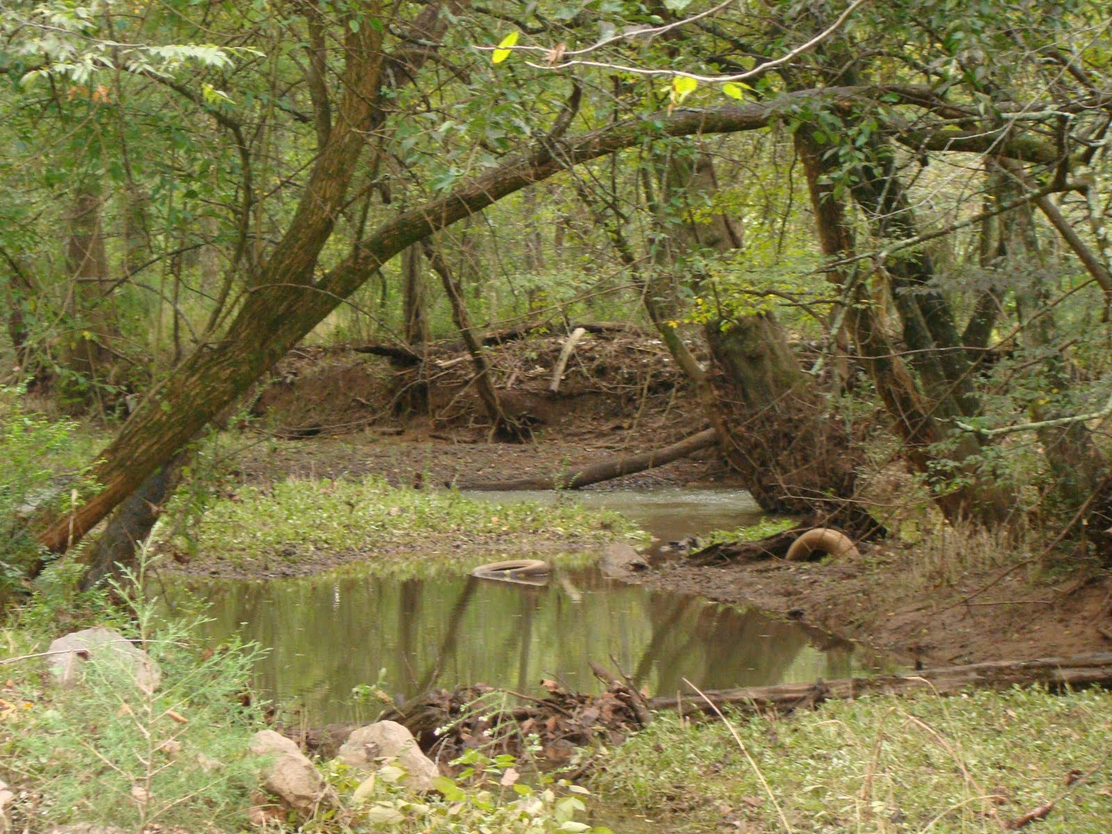 [DSC02002.JPG]
