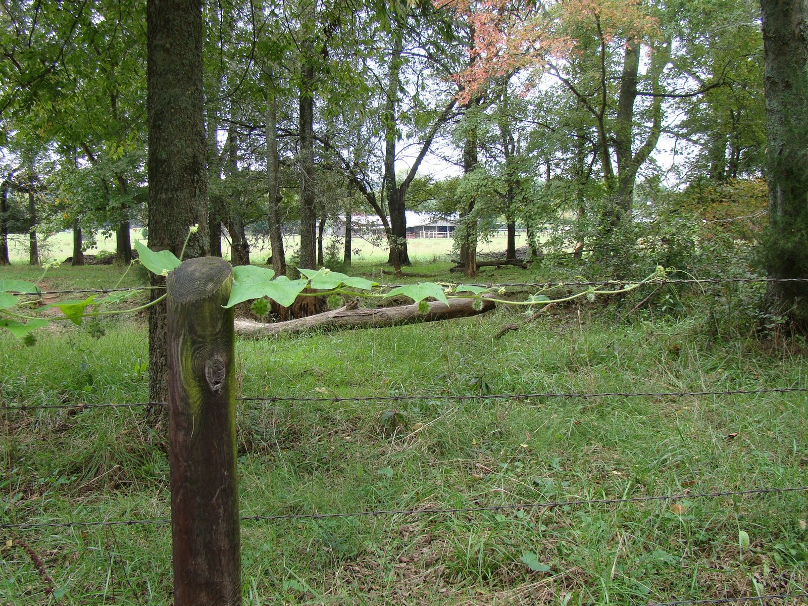 [DSC01994.JPG]