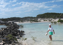 Crossing the Mangrove Swamp outlet