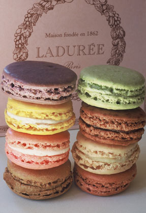 [Macaroon.Laduree.fr.jpg]