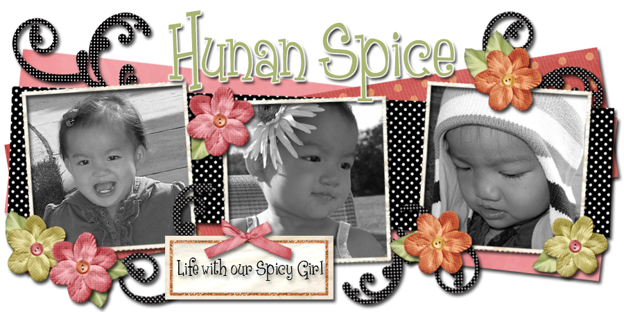 HUNAN SPICE