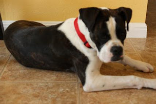  Lost girl looking for Home