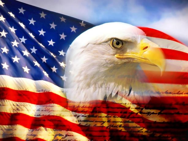 american flag eagle. american flag eagle pictures. american flag eagle.