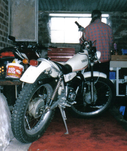 [TY175.JPG]