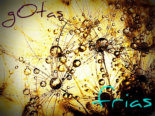 gotas frias