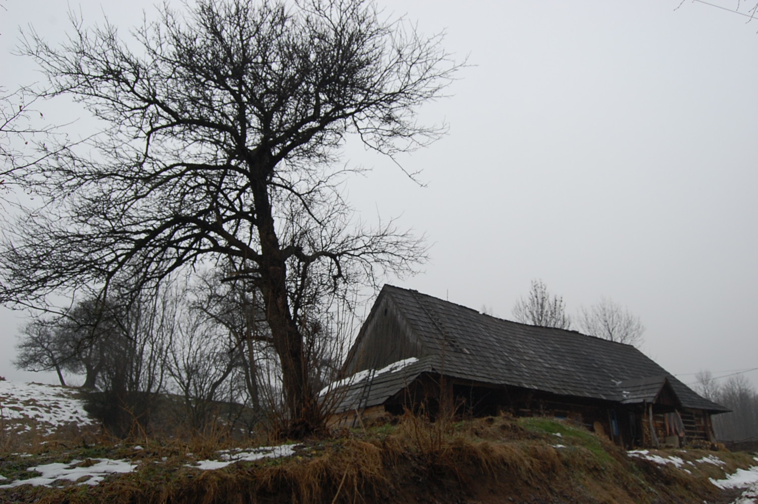[DSC_1708.JPG]