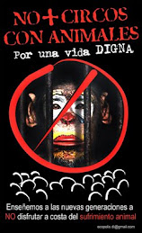 No + CIRCOS CON ANIMALES