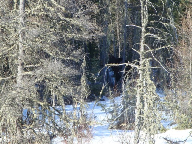 [DSC00530.JPG]