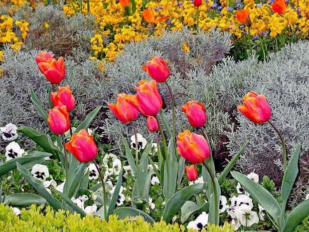 outstanding flower garden