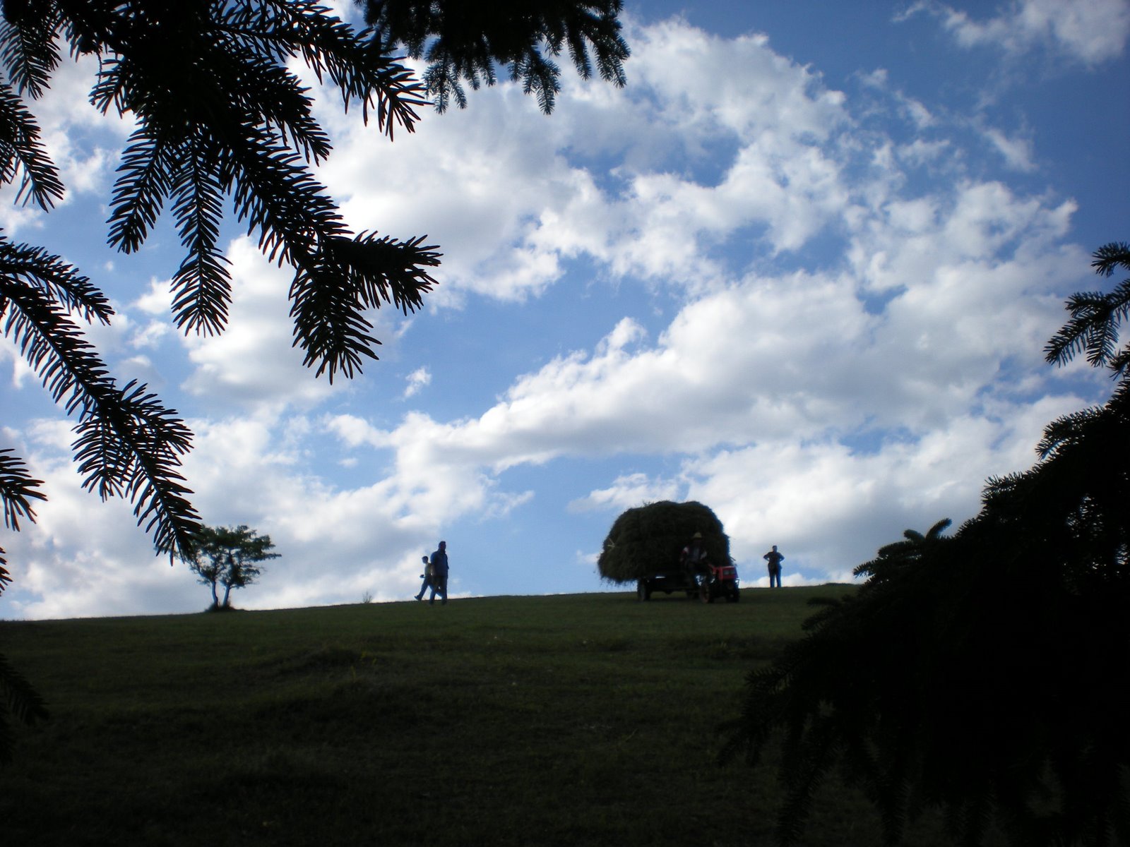 [DSCN0112.JPG]