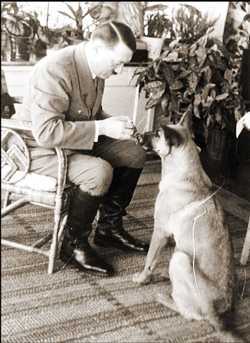 Nazis intentaron que perros aprendieran a leer, escribir y h Nazis intentaron que perros aprendieran a leer, escribir y h
