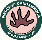 Bóra pra Canhambora!