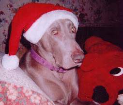CAPTION WHAT'S ON THIS OLD HOUND DOG'S HOLIDAY MIND . . .