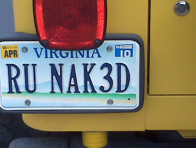 are+you+naked+vanity+plate.jpg