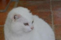 [bela+mici.jpg]