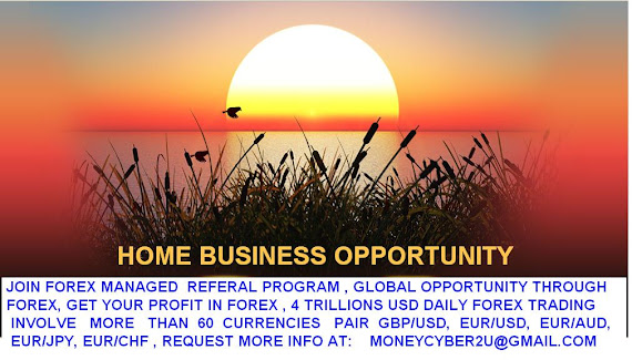 FOREX HOME BASE BUSINESS