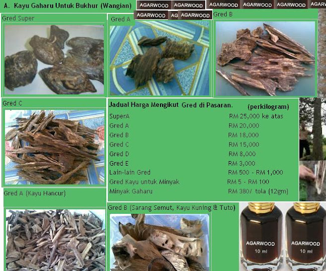 HARGA GAHARU