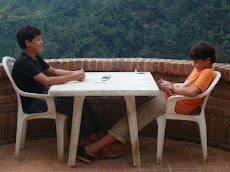 Juegos de mesa.