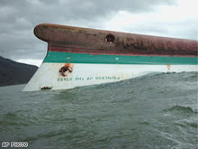 Mv Goya