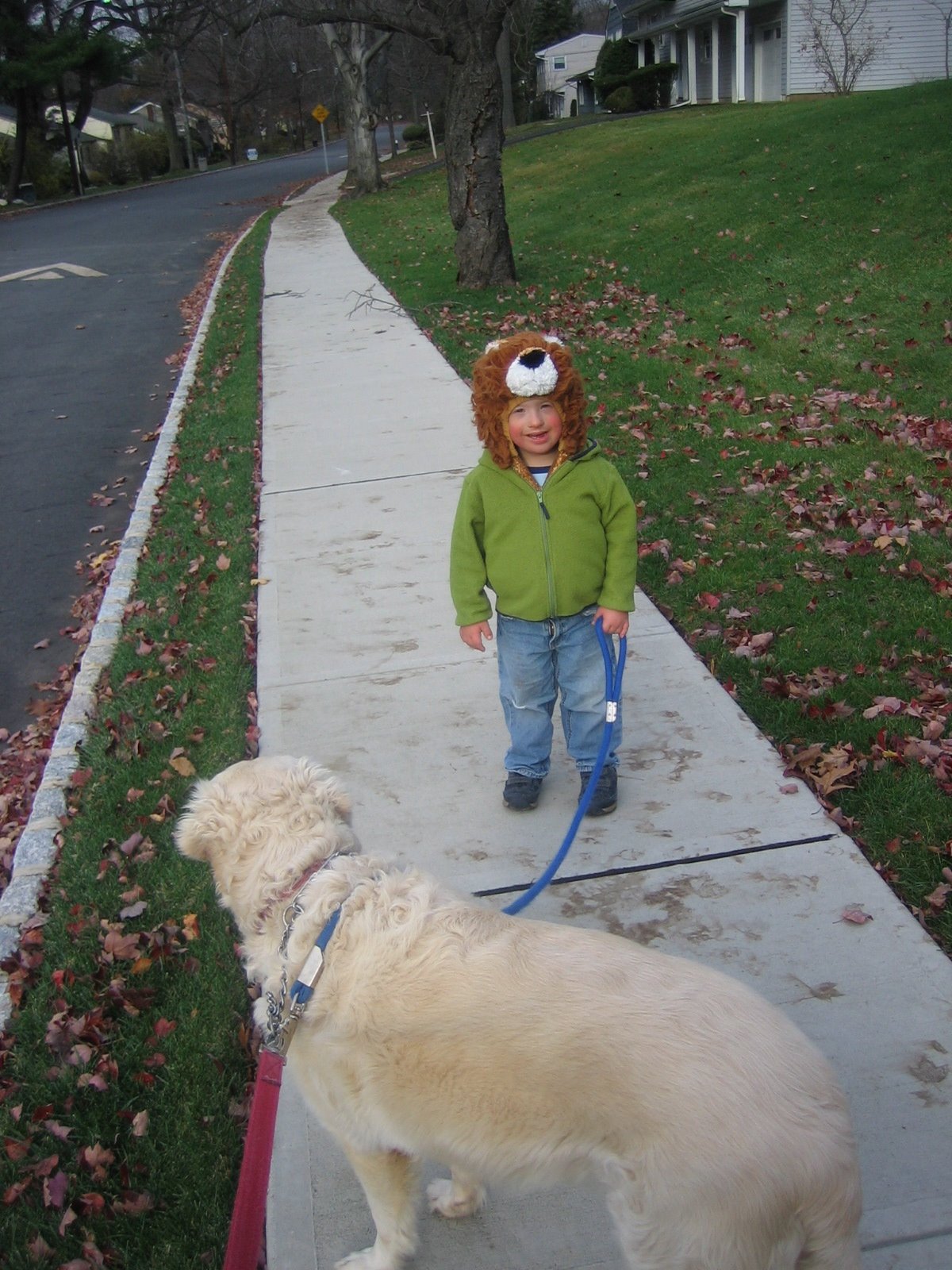 [walksmile.jpg]