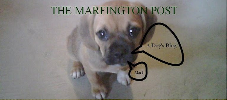 THE MARFINGTON POST