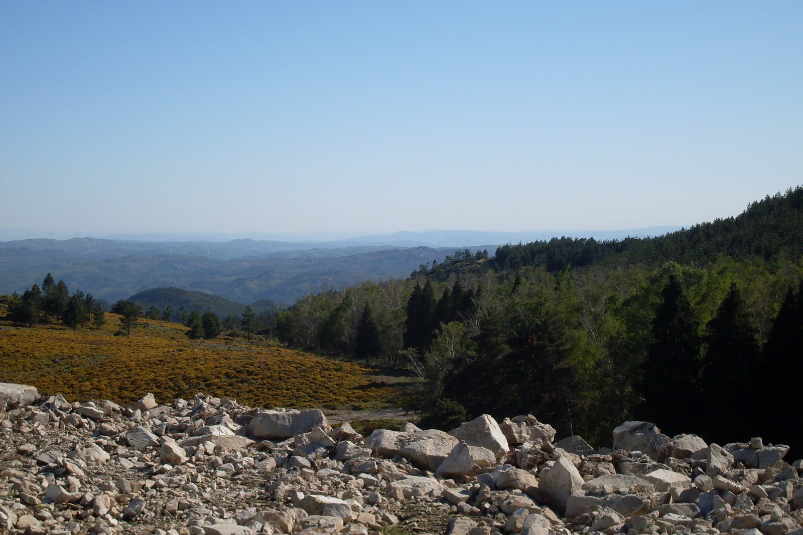[SDC10606.JPG]